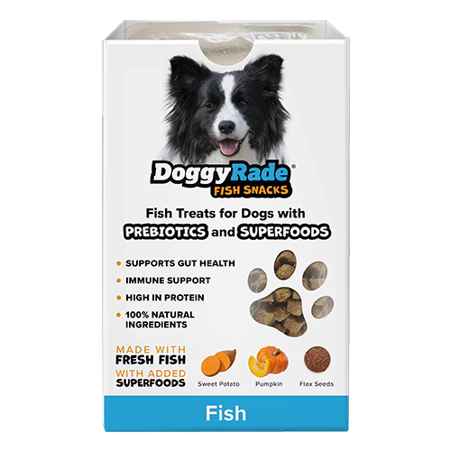 Doggyrade Fish Meat Snacks for Dogs - (Buy 1, Get 1 FREE - August 2025)