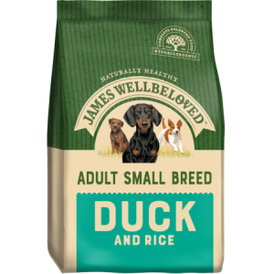 adult-small-breed-duck.png