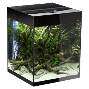 aquael-glossy-cube-aquarium.png