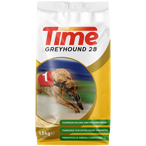 time greyhound 28
